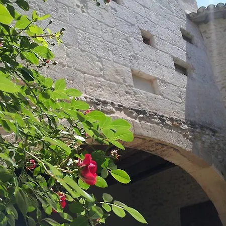 Апартаменты Le Petit Domeynes *