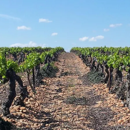 Le Petit Domeynes * Meynes