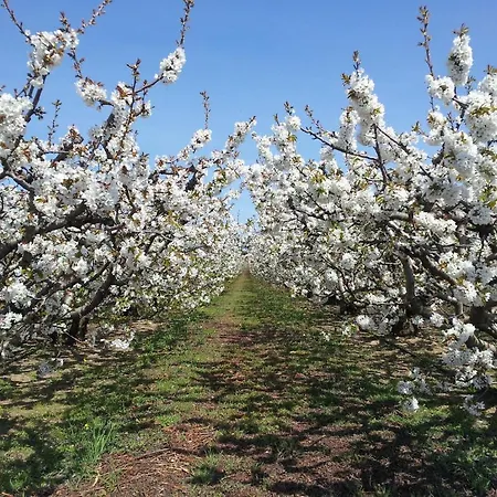 Le Petit Domeynes Апартаменты Meynes