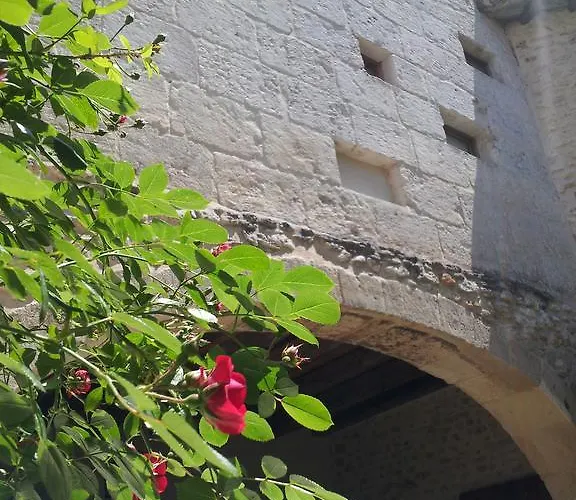 Apartament Le Petit Domeynes *