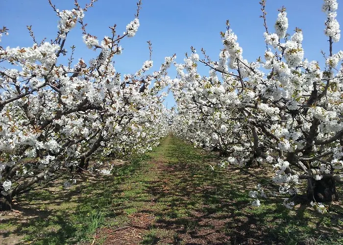 Le Petit Domeynes Apartament Meynes